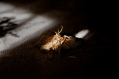 raulreyfotografo-190908-183243-_R2_0006