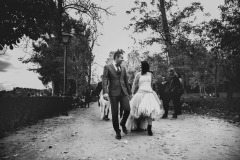 raulreyfotografo-181117-181242-_MG_0610