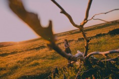 raulreyfotografo-190503-210631-_R1_0502